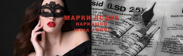 каннабис Новозыбков