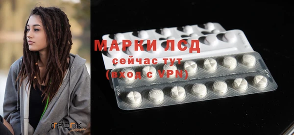 каннабис Новозыбков