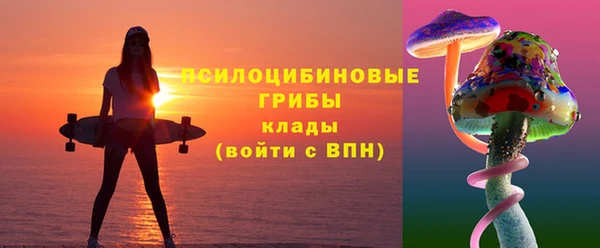 каннабис Новозыбков