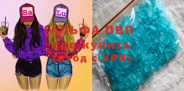 амф Новокубанск