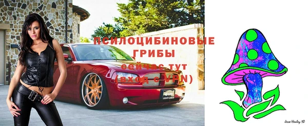амф Новокубанск