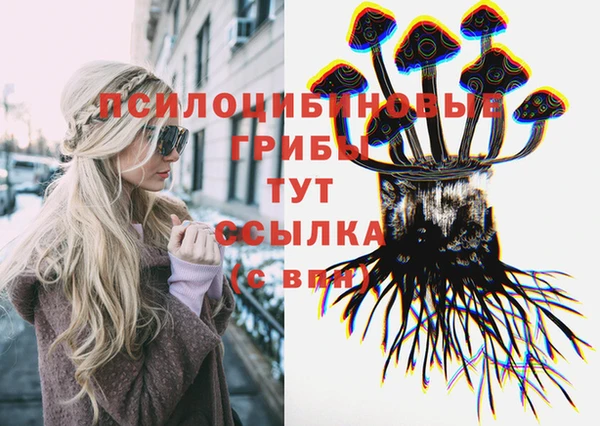 амф Новокубанск